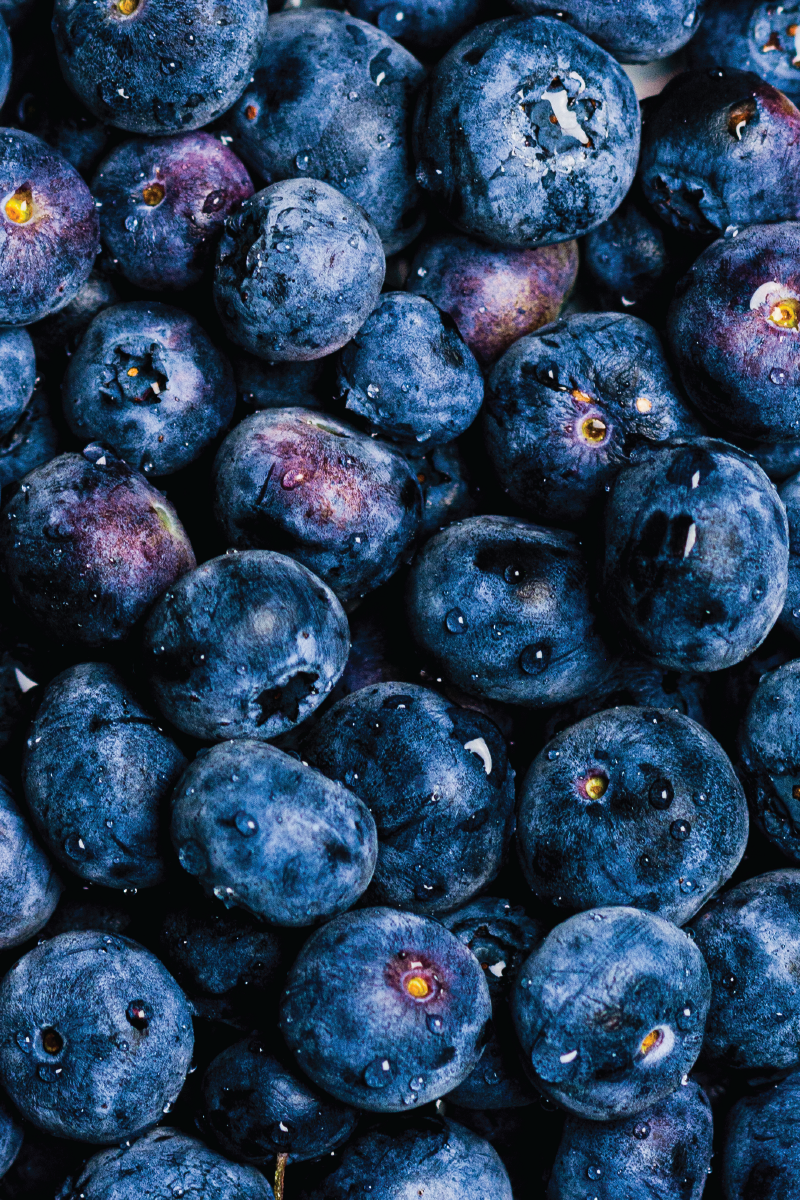 A close-up shot of blueberries